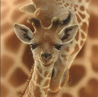 Life lessons from a Baby Giraffe