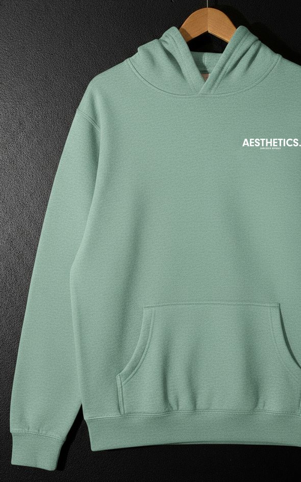 AESTHETICS. - Premium Hoodie - UniSex - Aqua Frost