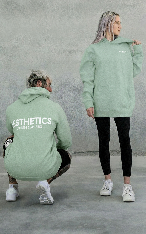 AESTHETICS. - Premium Hoodie - UniSex - Aqua Frost