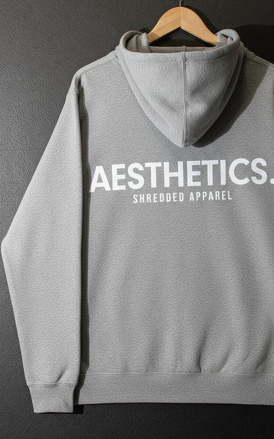 AESTHETICS. - Premium Hoodie - UniSex - Grey Marle