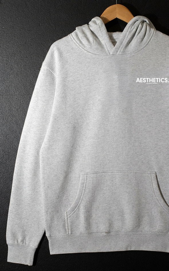 AESTHETICS. - Premium Hoodie - UniSex - Grey Marle